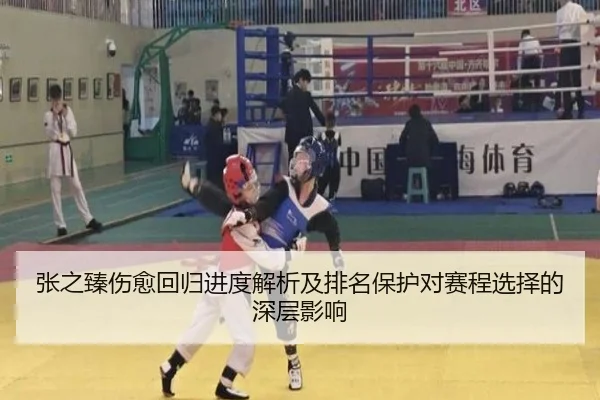 张之臻伤愈回归进度解析及排名保护对赛程选择的深层影响